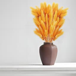 120 stuks decoratieve droogbloemen, droogbloemen, kan vrij worden gesneden, decoratieve veren, Boheemse stijl, voor woonkamer, slaapkamer, werkkamer (oranje) — thumbnail 5