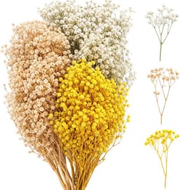 Gedroogde sluierkruid, gedroogde bloemen met geel-witte bloemen, 15 cm lang, voor doe-het-zelf knutselen, kaarsenmaken, harskunst en natuurlijke decoraties — thumbnail 1