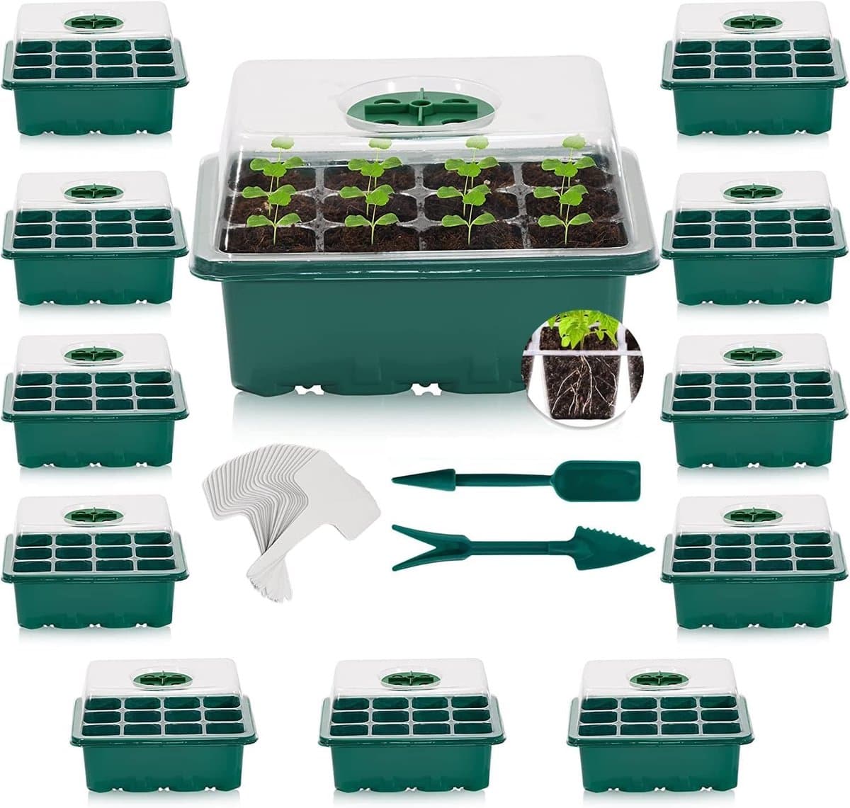 12 stuks kamerkas, 144 cellen, mini-broeikas, kweekset, starter, kweekschaal met deksel en ventilatie voor zaailingen, planten — afbeelding 1