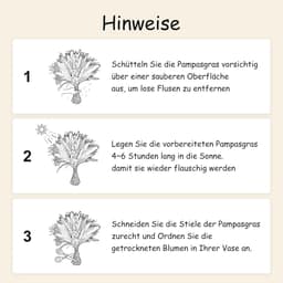 62 stuks witte pampasdecoratie — thumbnail 2