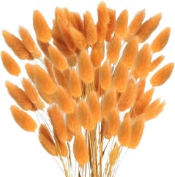 Gedroogd pampasgras, konijnenstaart, gras, 60 stuks, natuurlijke droogbloemen, boeket, decoratie, kunst, groot, droogbloemen, pampasgras voor interieurdecoratie, fotografie, bruiloft, oranje — thumbnail 1