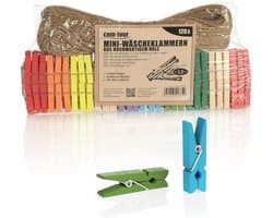 Mini Wasknijpers en Jute Touw - 120 Kleurrijke Houten Clips voor Decoratie van Foto's en Collages