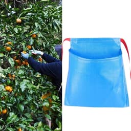 Oogstschort Nylon - Fruitpluk Tas - Efficiënte Oogst - Brede Opening - 30x30x18cm - Blauw — thumbnail 5