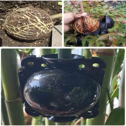 Zfdg 4 stuks plantenwortels, propagatietabal, plantenwortelkweekbox, plantenwortels, groeibox, voor hogedruk-gepropplant-wortelbeheersing van de plantenvermeerdering, zwart — thumbnail 2