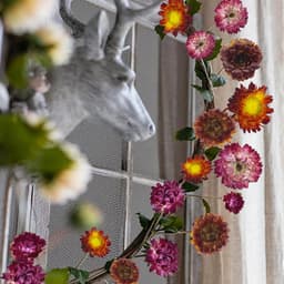 60 gedroogde chrysanten — thumbnail 4