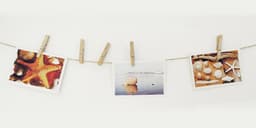 KLEIBER wasknijpers, van hout, lengte: 90 mm — thumbnail 2
