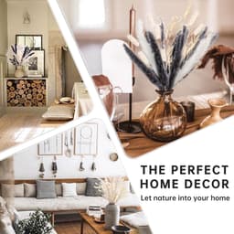 Gedroogd Pampasgras - Natuurlijke Gedroogde Bloemen, Zwart en Wit Pampasgras Pluizige Bladeren, Gedroogd Bloemenboeket Voor Knutselen, voor Bruiloftstafel Woonkamer Vazen Boho Home Decor — thumbnail 2