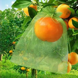 Fruitzakjes van netstof - Beschermzakken voor fruit - Bescherming van oogst - Geoptimaliseerde luchtcirculatie - 15 x 20 cm - Fruitgroen — thumbnail 4