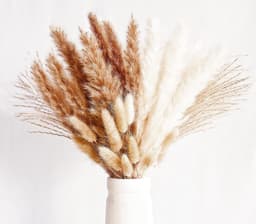 Droogbloemen, decoratie, kleine natuurlijke gedroogde boeketten van pampasgras, boho-decoratie, voor woonkamer, tafel, slaapkamer, bruiloften, badkamer, 70 stuks — thumbnail 1