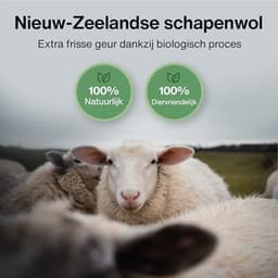 Elzusha - XL Droogballen van 100% Nieuw-Zeelandse Schapenwol — thumbnail 4