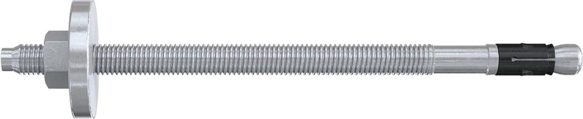 Boutenanker met schijf - Heavy duty anker - Houtconstructies bevestigen - Levensduur 120 jaar - 12/120 mm - Zilver — afbeelding 1