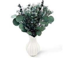 eucalyptus, gedroogd, 3 soorten gemengd voor de bruiloft