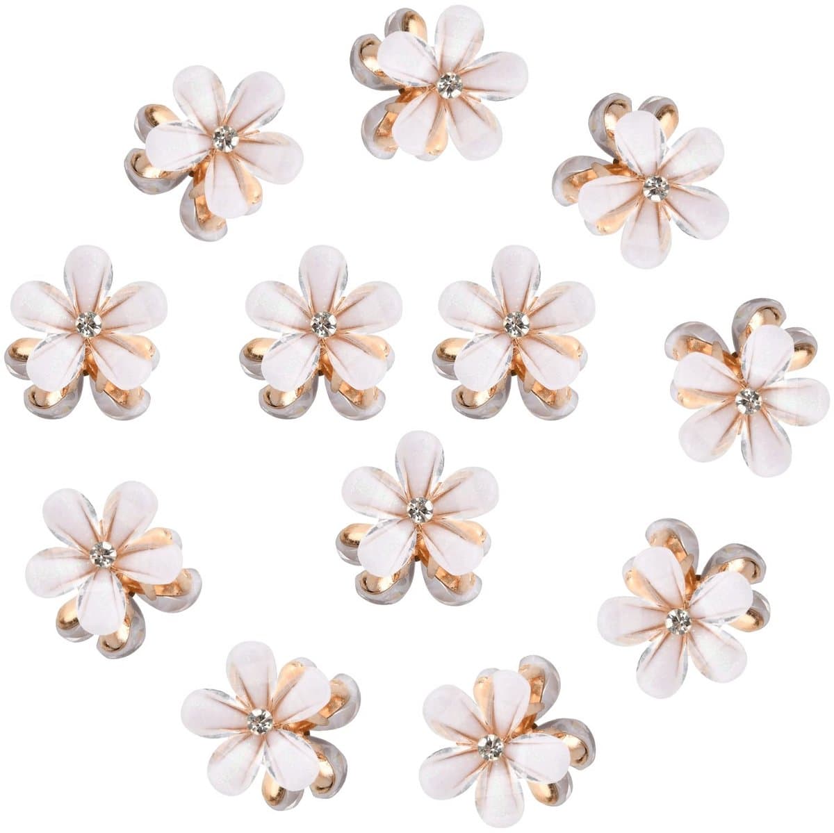Dailygoods- Haarclips 12 Stuks - Mini Klauwclips - Bloem Motief - Antislip - Haaraccessoires - Duurzaam Materiaal - Haarklemmen — afbeelding 1