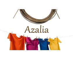 Azalia Waslijn met Kunststof Gecoate Kabel - 20 Meter Stalen Lijn voor Buiten, voor het Drogen van Wasgoed, Kleding, Doeken in de Tuin