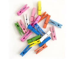 Mini houten wasknijpers 100 stuks - Veelkleurige clipjes voor kleding en foto's