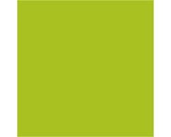CC Creotime Textile Color Basic Kiwi 50ml