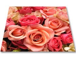 Papillon Wasmachine Beschermer - Antislip mat - 60x60 cm - Rozen