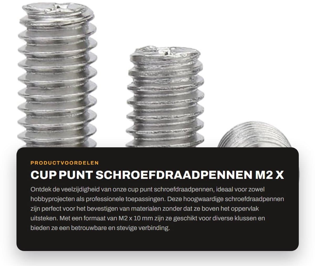 Dailygoods- Madenschroeven M2 x 10 mm - Roestvrij Staal - 100 Stuks - Bevestigingselementen - Kruiskopschroeven - Hoogwaardige Kwaliteit - Schroefdraadpennen — afbeelding 1
