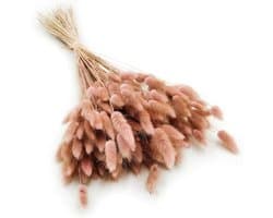 Dekogras gedroogd gras, siergras, konijnenstaarten, Lagurus Ovatus, fluwelen gras, hazenstaartgras, gedroogde bloemen, natuurlijk, boho, 120-150 stuks, 100 g, oudroze