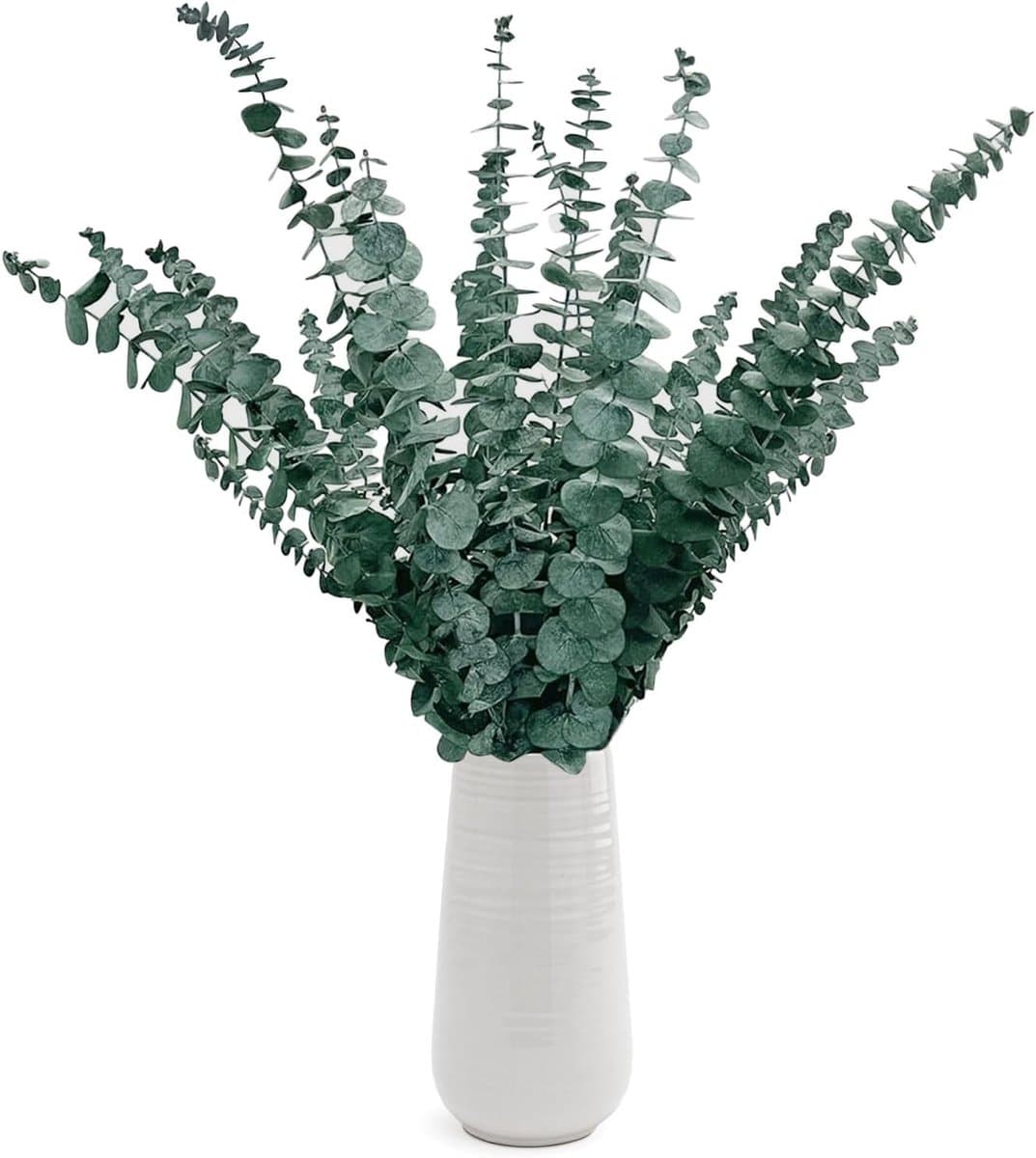 Gedroogde Eucalyptusstelen 43 cm — afbeelding 1
