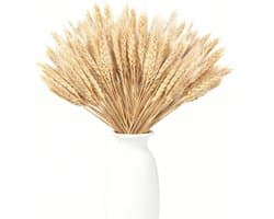 Gedroogde tarwepunten, decoratieve tarwepunten, decoratieve gedroogde bloemen voor feestjes, open haarden, huis, kerk, tafelvaas, bruiloft, doe-het-zelf, 40 cm