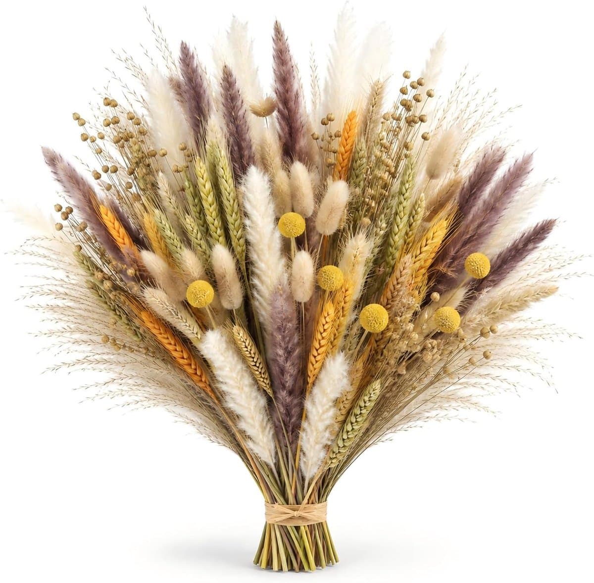 Gedroogde bloemen voor de herfst, pampasgras voor herfstdecoratie, bruiloft, huis, eettafel, feestdecoratie, natuurlijke gedroogde bloemendecoratie in boho-stijl — afbeelding 1