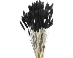 120 stuks natuurlijke hazenstaart, gedroogde bloemen, 43 cm, mini pampasgras, voor bloemendecoraties, bruiloft, Kerstmis, zwart