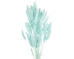 Gedroogde bloemen, konijnen, staarten, pampasgras, 45 cm, mini lagurus ovatus boeket voor thuis, bloemendecoratie, cyaan