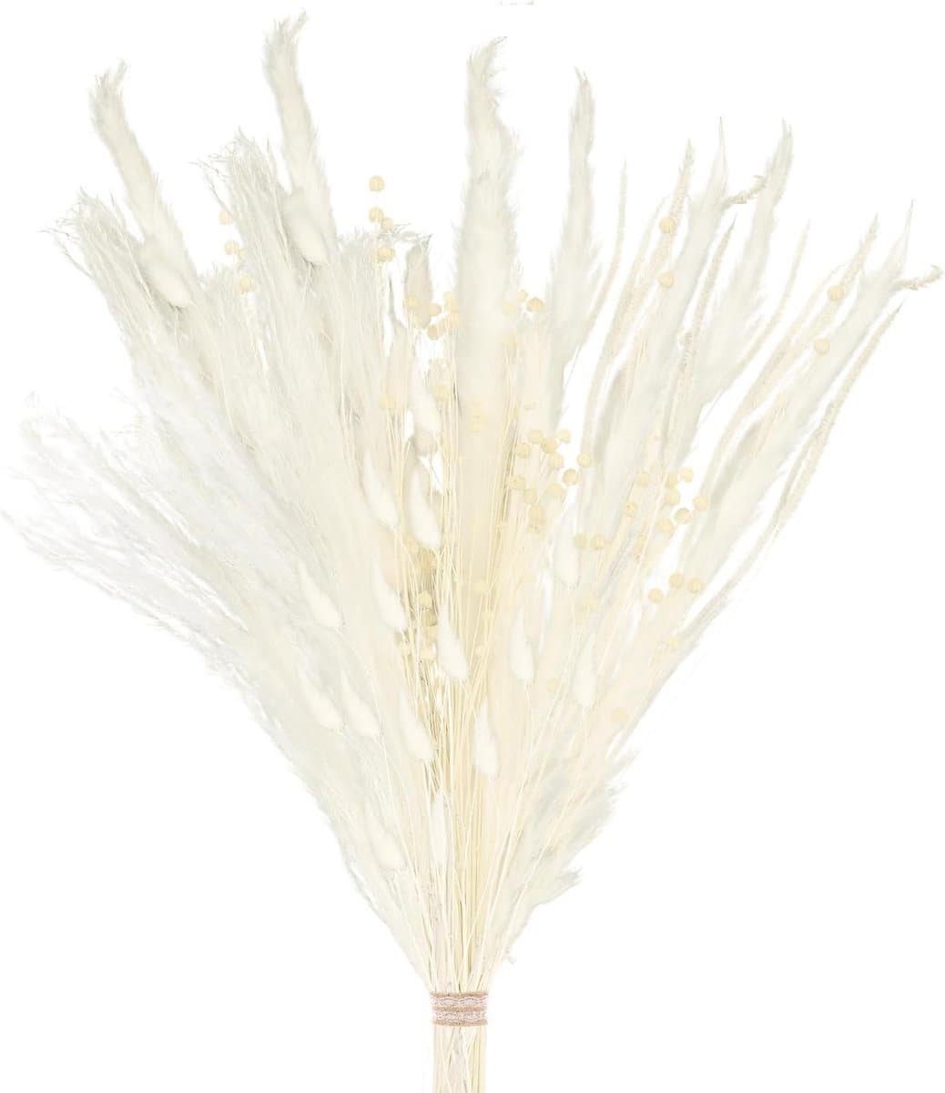 Gedroogde bloemen, pampasgras boho boeket, konijnenstaarten, voor in een vaas voor uw huis, slaapkamer en woonkamer (stijl 3) — afbeelding 1