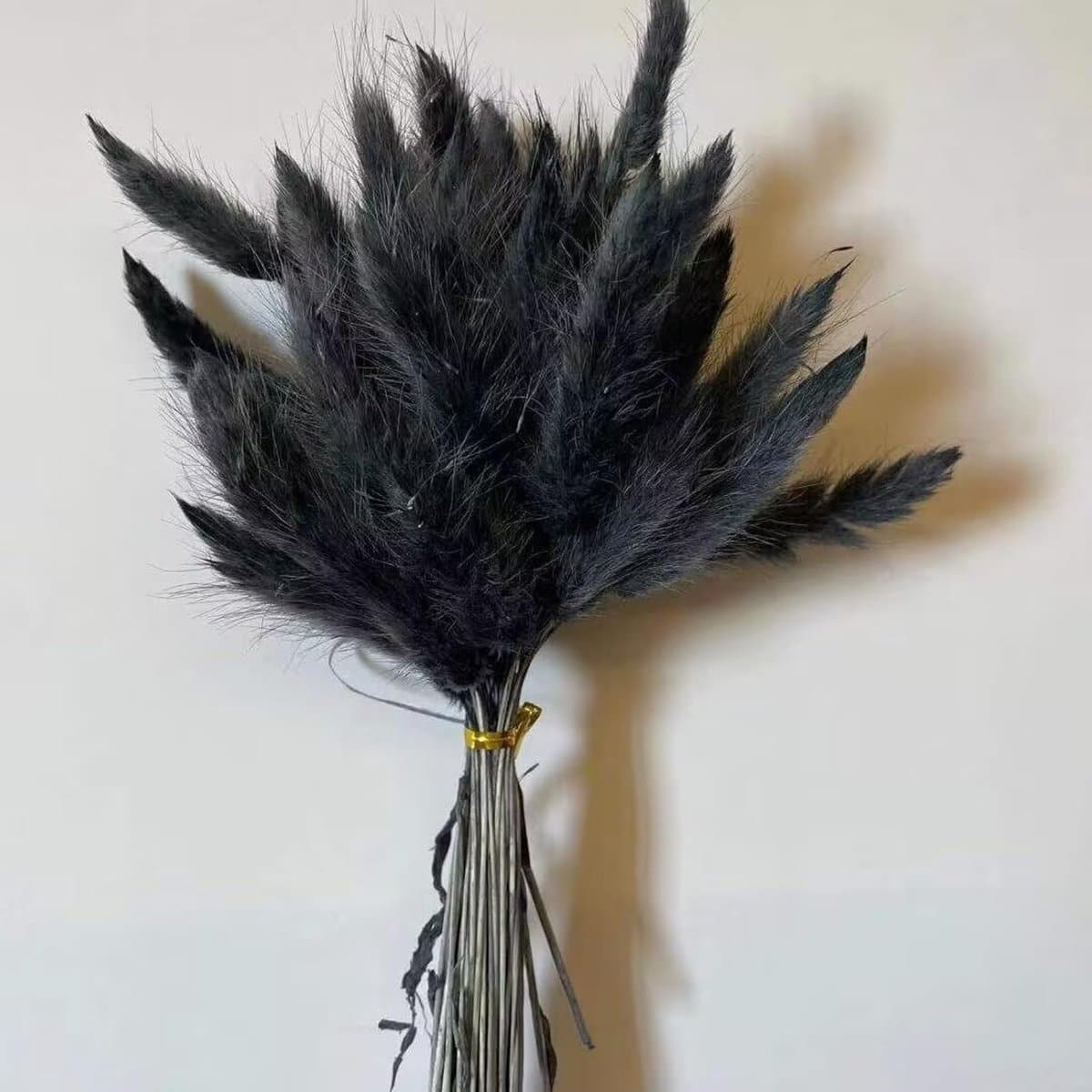 Gedroogd, zwart, natuurlijk boeket voor decoratie, 120 stuks — afbeelding 1