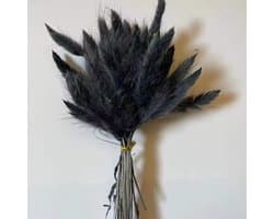 Gedroogd, zwart, natuurlijk boeket voor decoratie, 120 stuks