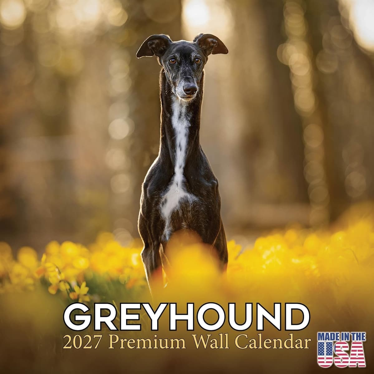 2022 2023 Greyhound-kalender - Hondenras maandelijkse muurkalender - 12 x 24 open - dik niet-ontluikbaar papier - cadeau - Academische lerarenplannerkalender organiseren en plannen - Made in USA — afbeelding 1