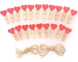 Wasknijpers 20 Stuks en Jute Koord 2.4m