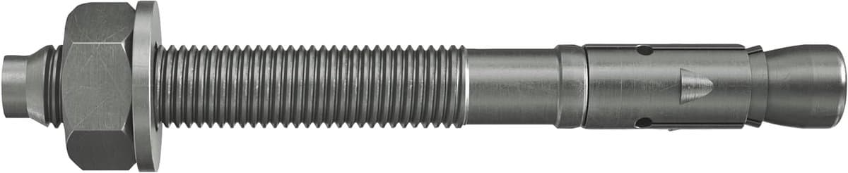 Boutenanker RVS - Zwaar anker - Zware lasten bevestigen - Hoog draagvermogen - 10/50 - Zilver — afbeelding 1