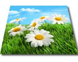 Papillon Wasmachine Beschermer - Antislip mat - 60x60 - Margrieten