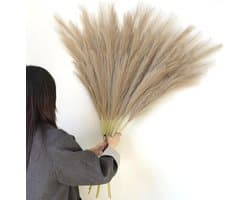 8 stuks 113 cm groot decoratief kunstpampasgras XXL pampasgras kunstgedroogde bloemen voor boho-decoratie in de woonkamer, tweepersoonsbed, vaas, slaapkamer (bruin)