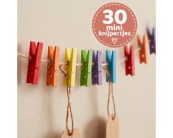Mini Knijpers Gekleurd - 30 Mini Knijpertjes - Knijpertjes voor Kaarten of Foto's