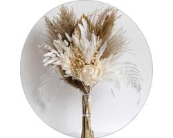 49 Stuks Pampas Gras Gedroogd Natuurlijk, Pampas Gras Gedroogd, Natuurlijke Gedroogde Bloemen voor Boho Woonkamer, voor woonkamer, tafel, slaapkamer, bruiloft, badkamer