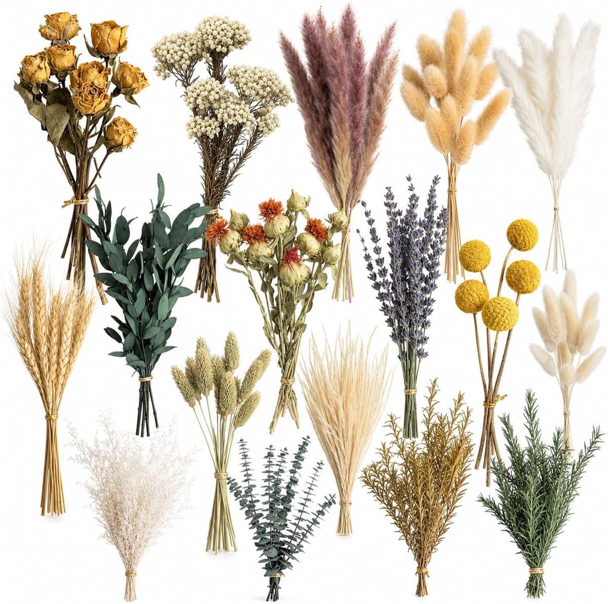 16 soorten droogbloemen, klein, voor vaas en DIY-decor — afbeelding 1