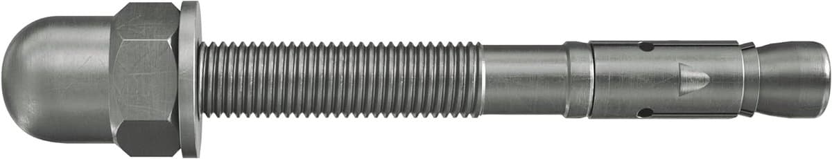 Montagebout met kapmoer - Zware lasten anker - Stevig bevestigen - Extra hoge draagkracht - 10/20 - Zilverkleurig — afbeelding 1