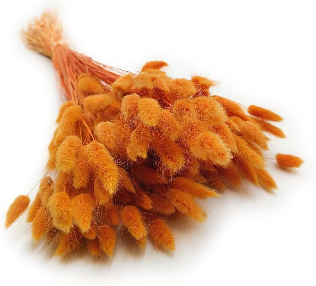 Dekogras gedroogd gras, siergras, konijnenstaarten, Lagurus Ovatus, fluwelen gras, hazenstaartgras, gedroogde bloemen, natuurlijk, boho, 120-150 stuks, 100 g, oranje — afbeelding 1