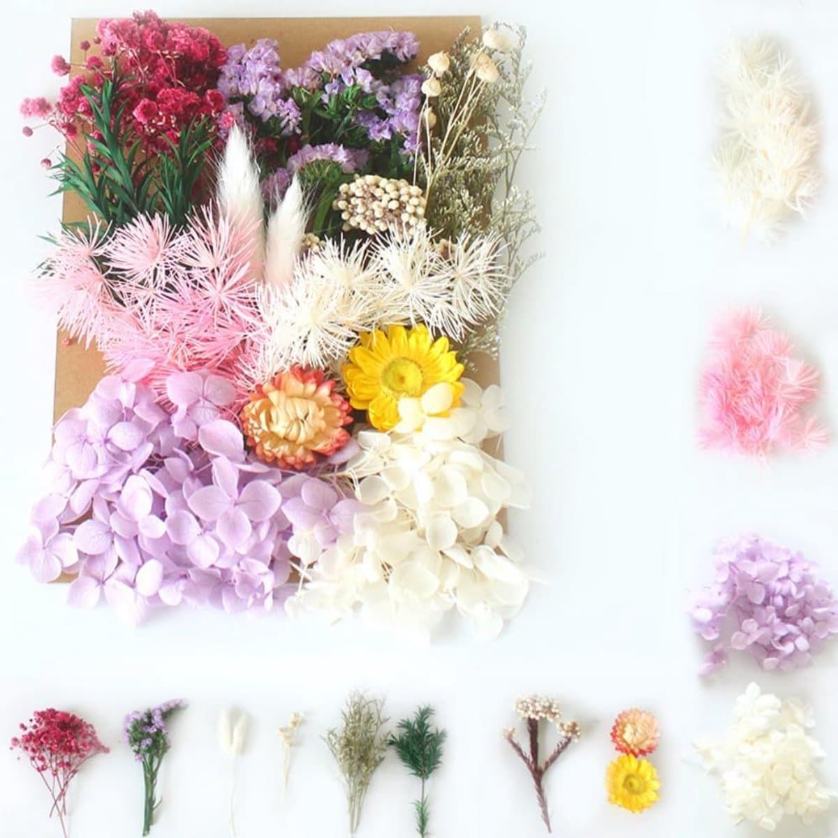 Gedroogde bloemen, decoratieset, gedroogde geperste bloemen, klein voor doe-het-zelf artistieke kaarsen, scrapbooking, handwerk, gemengd - roze tinten — afbeelding 1