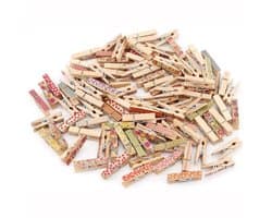 Dailygoods- Wasknijper 100 Stks - Kleurrijk Houten - Foto Clips - Ambachten - Gift Inpakken - Roestvrijstalen Veerdraad - Knijpers