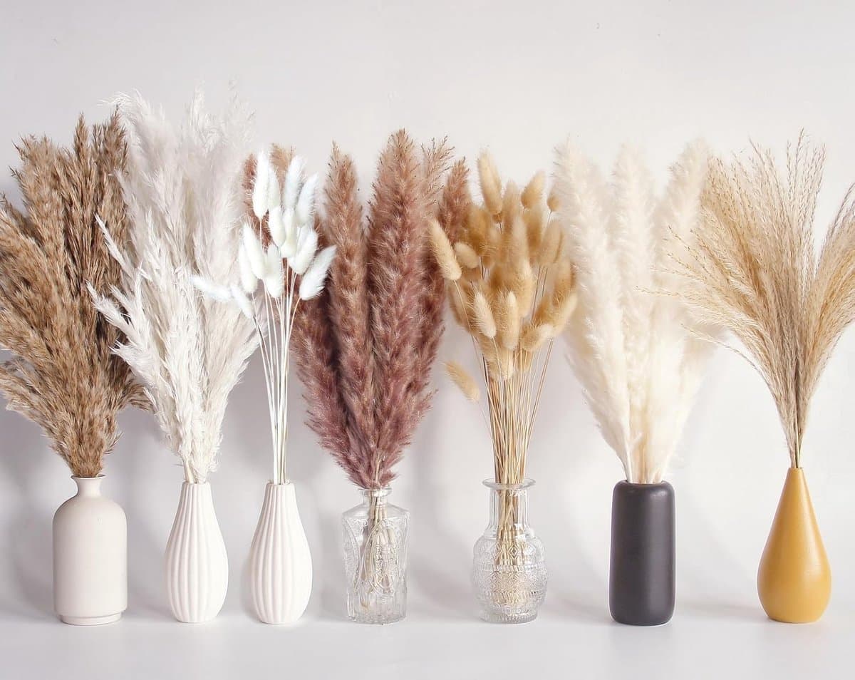 125 stuks gedroogd pampasgrasboeket, boho-tafeldecoratie, konijnenstaarten gedroogde bloemen, bruin pampas, wit pampasgras voor bruiloften, thuisdecoratie, rustieke feesten en babyshowerdecoraties — afbeelding 1