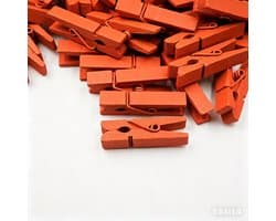 Wasknijpers, gekleurde natuur, 3,5 cm, schattige kleine kleurrijke mini-wasknijpers, sierklemmen voor foto's, kleine houten decoratie, clips, ansichtkaarten, geschenken