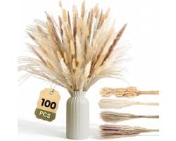 Gedroogd Pampasgras, 100 stuks Pampasdecoratie