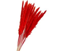 Gedroogde Bloemen, Pampas Gras DIY Handgemaakte Valentijnsdag Bruiloft Woondecoratie Boeket Pampas Grass (Color : Red)