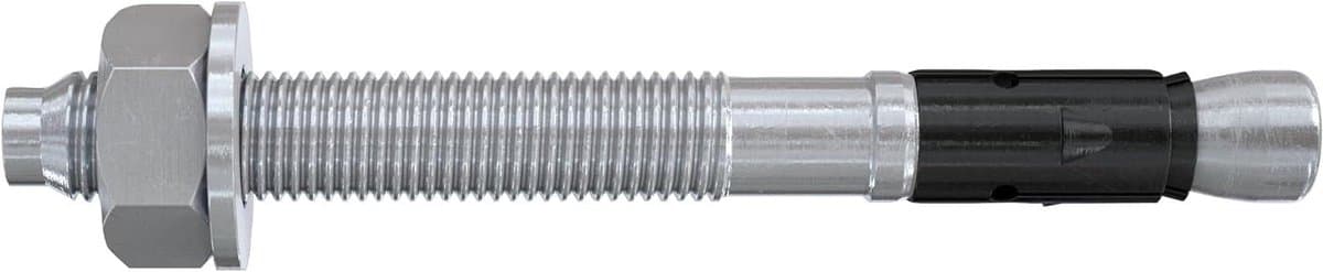 Boutenanker Plus - Zwaar anker - Zware lasten bevestigen - Hoog draagvermogen - 10 stuks - Zilver — afbeelding 1