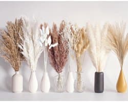 128 stuks gedroogd pampasgrasboeket, boho-tafeldecoratie, konijnenstaarten gedroogde bloemen, bruin pampas, wit pampasgras voor bruiloften, thuisdecoratie, rustieke feesten en babyshowerdecoraties
