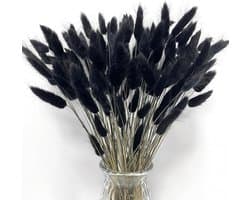 Gedroogde konijnenstaarten bloemen Lagurus konijnenstaarten pampasgras decor zwart gedroogd pampasgras decoratie voor bloemstukken boho bruiloft boeketten woondecoratie tuindecoratie